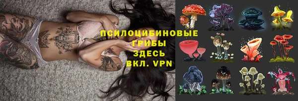 гашик Абдулино