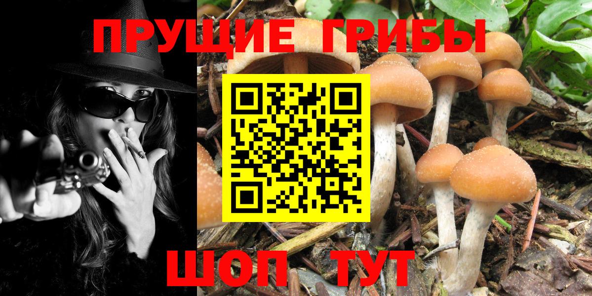 Галлюциногенные грибы MAGIC MUSHROOMS  даркнет сайт  Великие Луки 