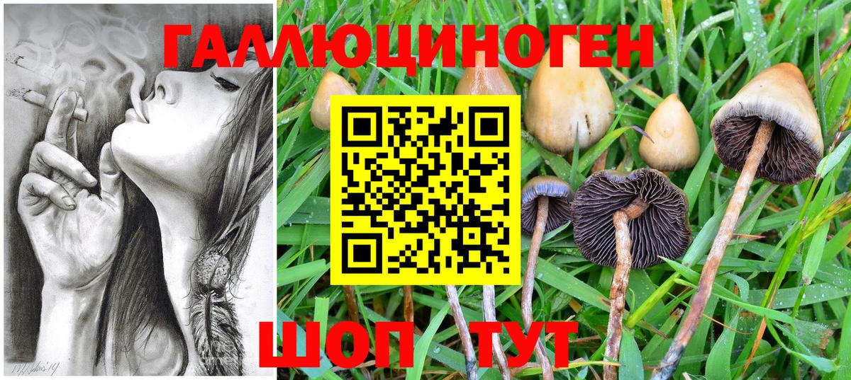 Галлюциногенные грибы GOLDEN TEACHER Великие Луки