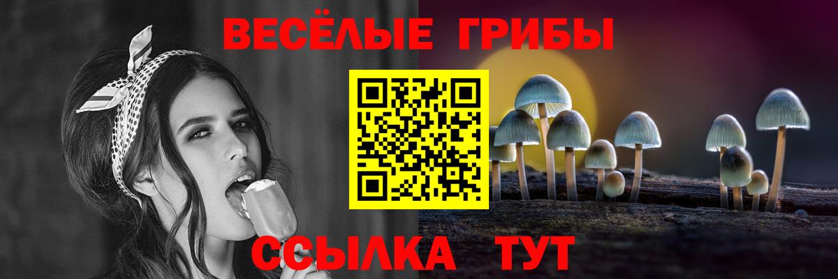 Галлюциногенные грибы прущие грибы Великие Луки